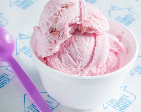Large Ice Cream Cup