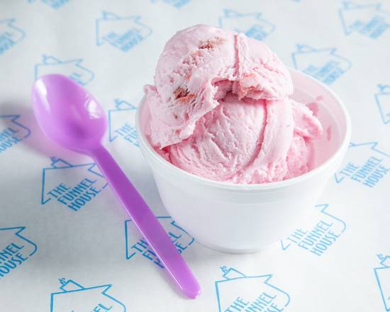 Regular Ice Cream Cup