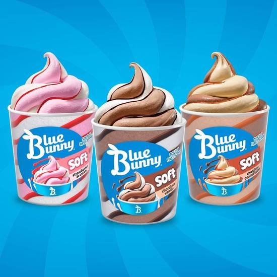 Blue Bunny Soft Pints Bundle