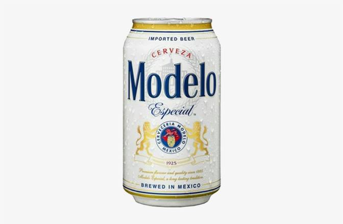 MODELO ESPECIAL
