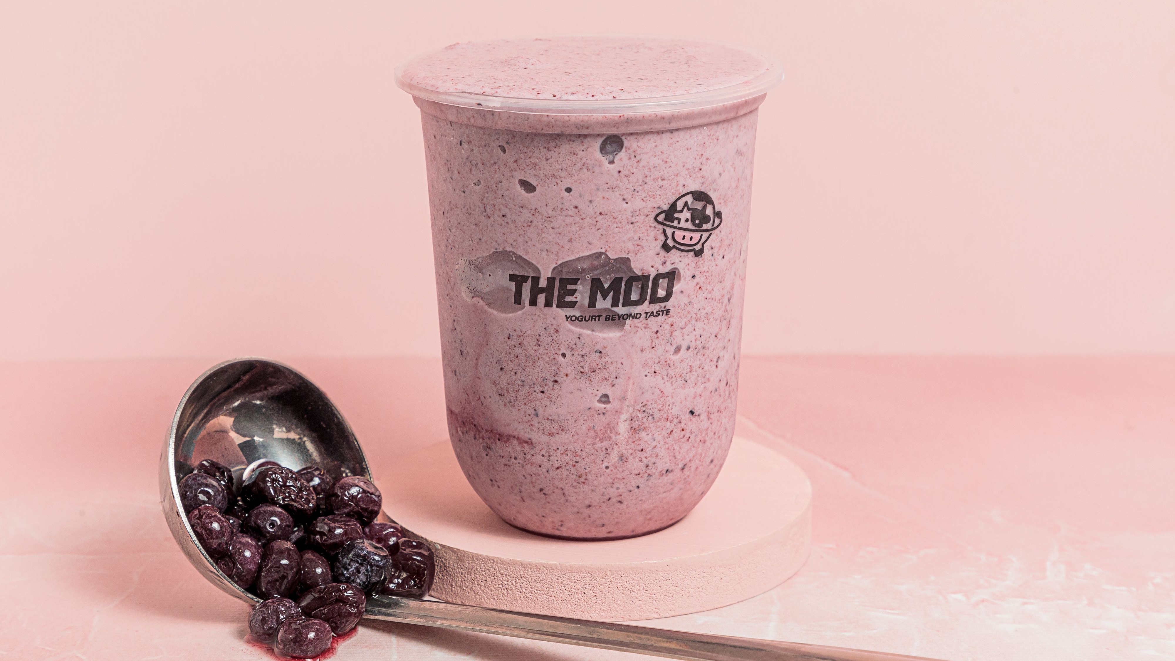Blueberry Yoghurt Smoothie
