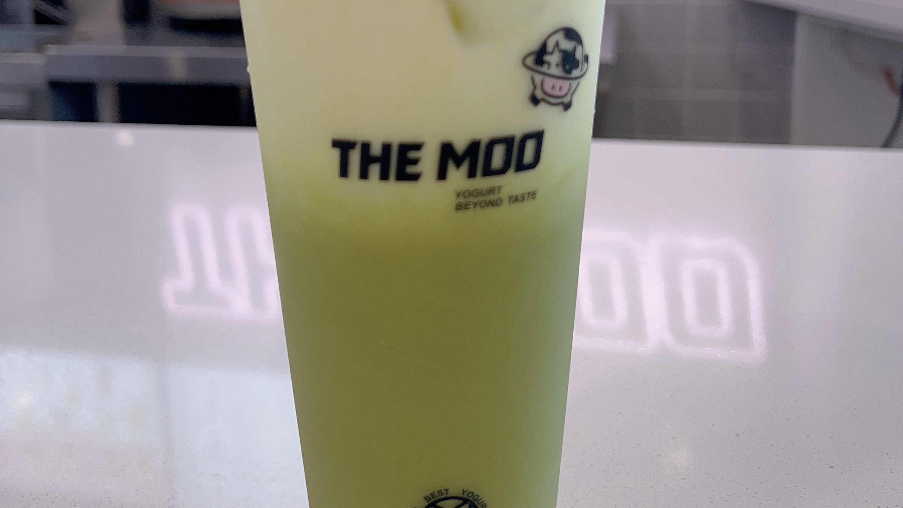 Matcha Fresh Milk Tea