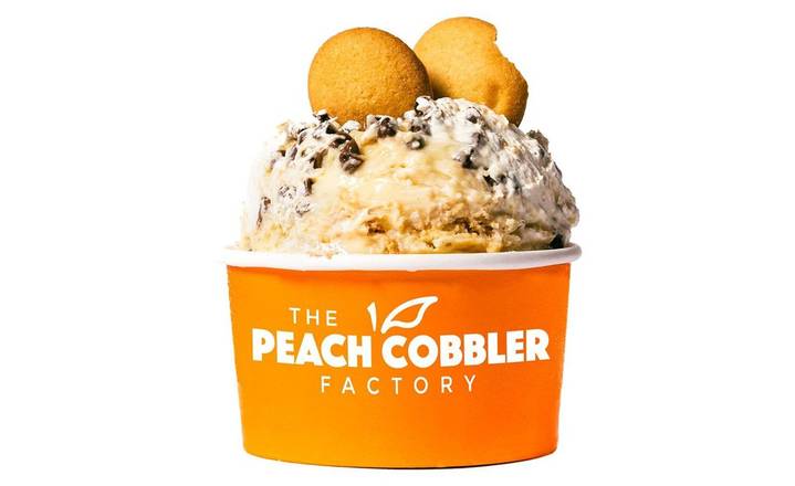CHOCOLATE CHIP PUDDING