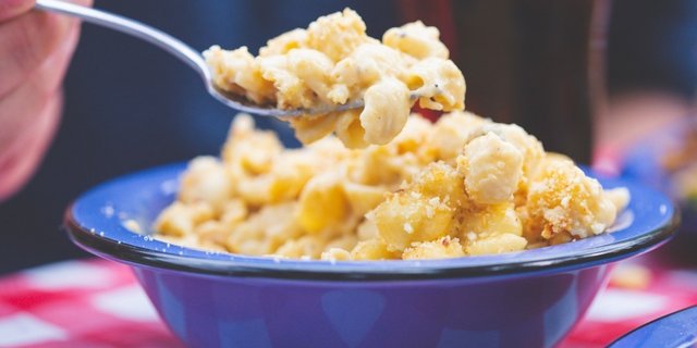Plain Mac and Cheese
