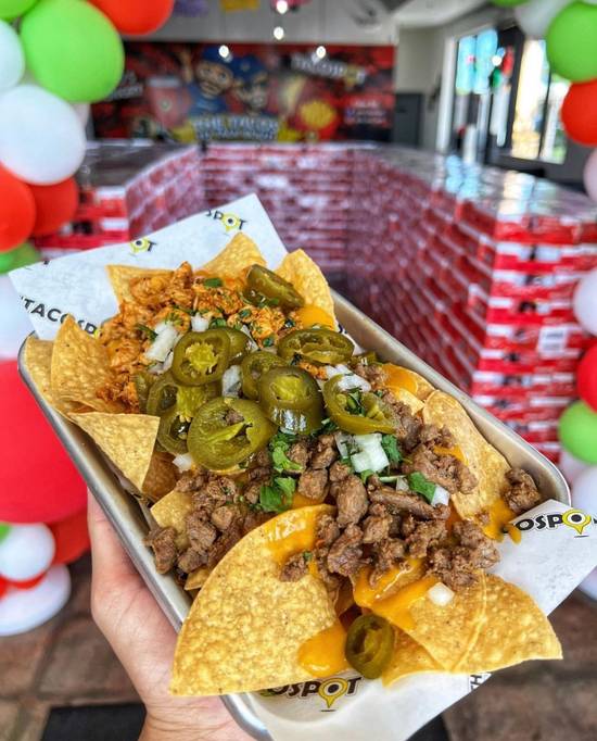 Carne Asada Nachos