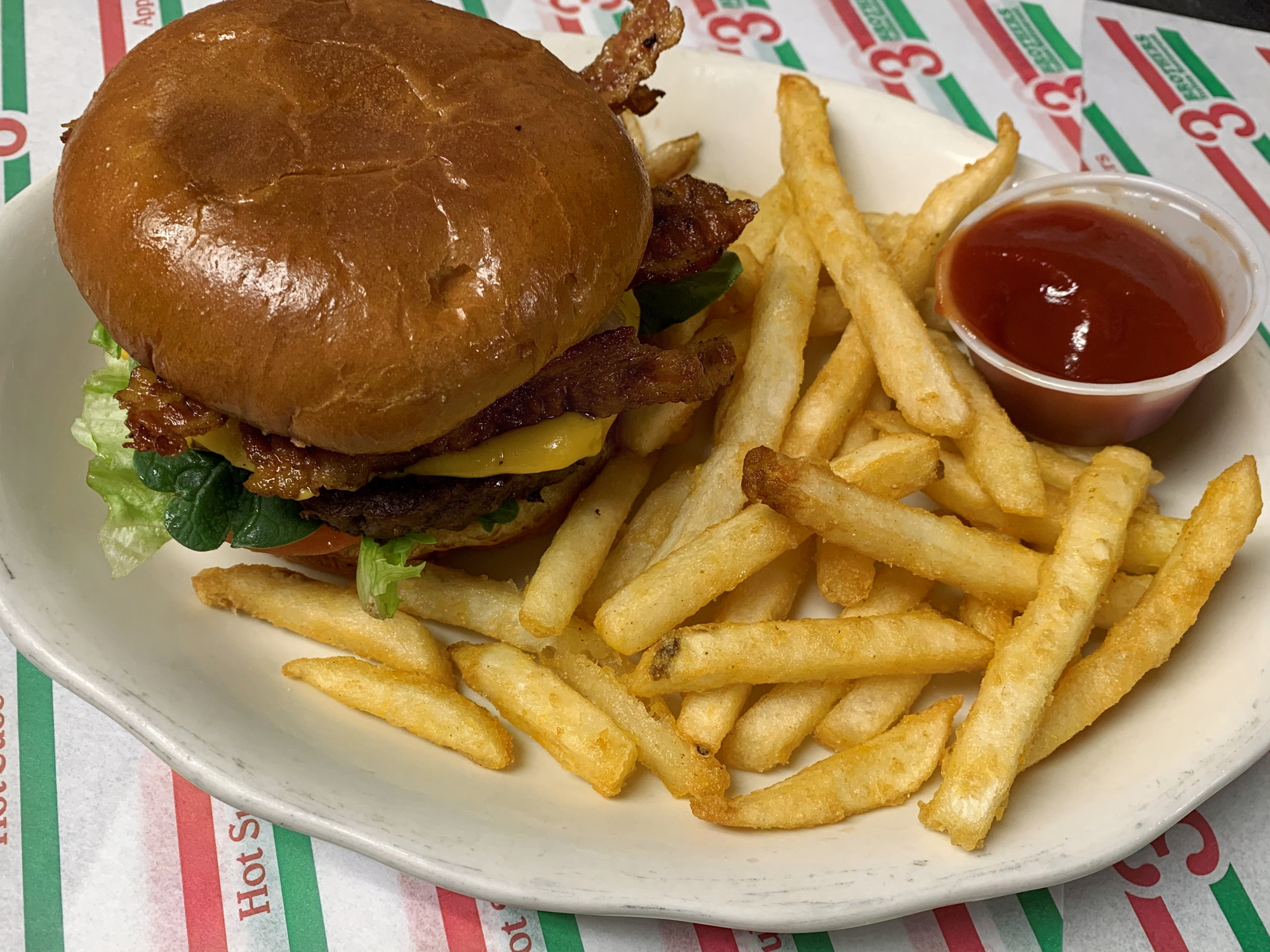 CHEESE BURGER WITH FRIES