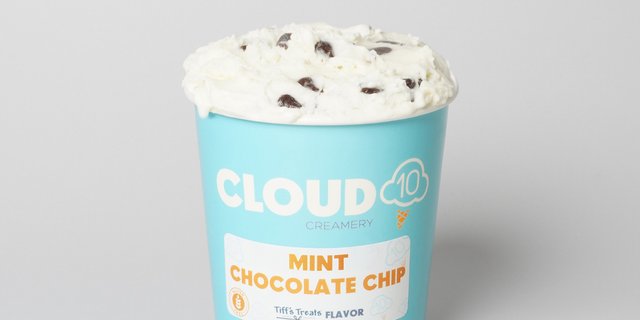 Cloud10 Mint Chocolate Chip Ice Cream Pint