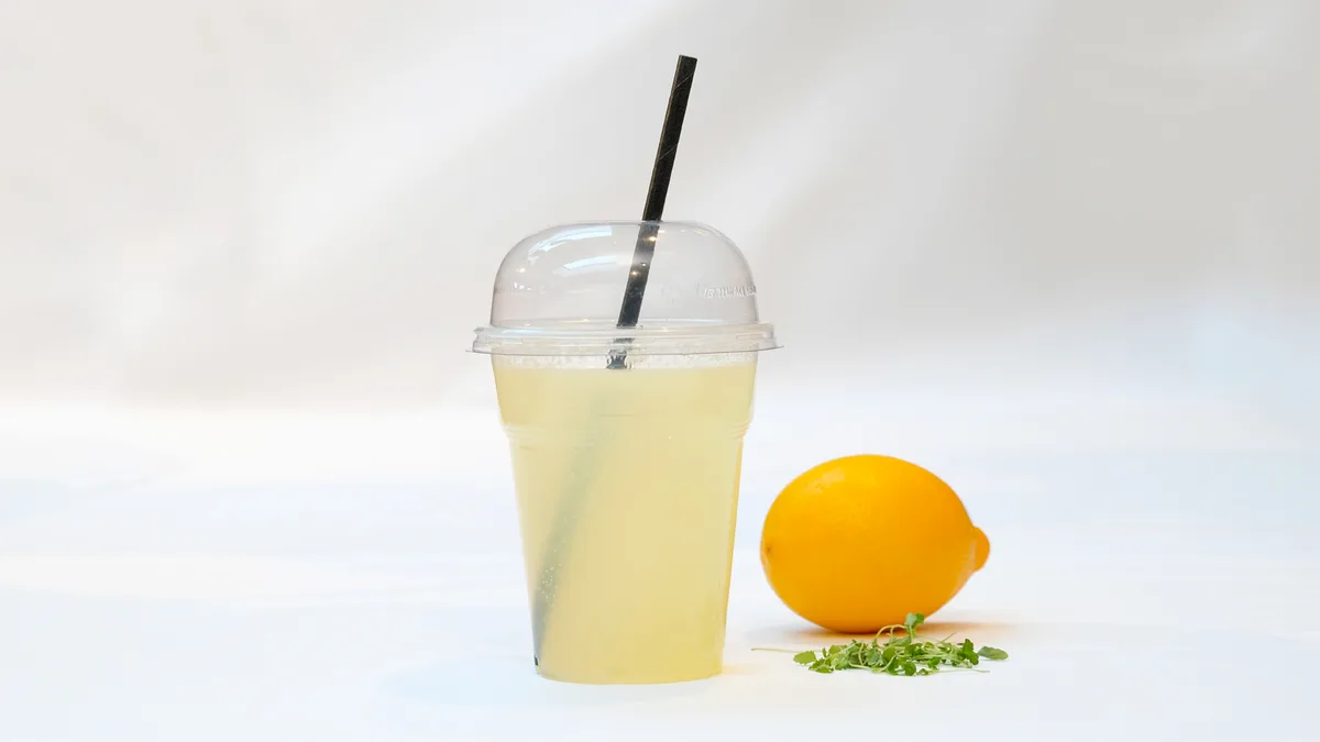 Limunada sa zovom/ Elderflowe lemonade