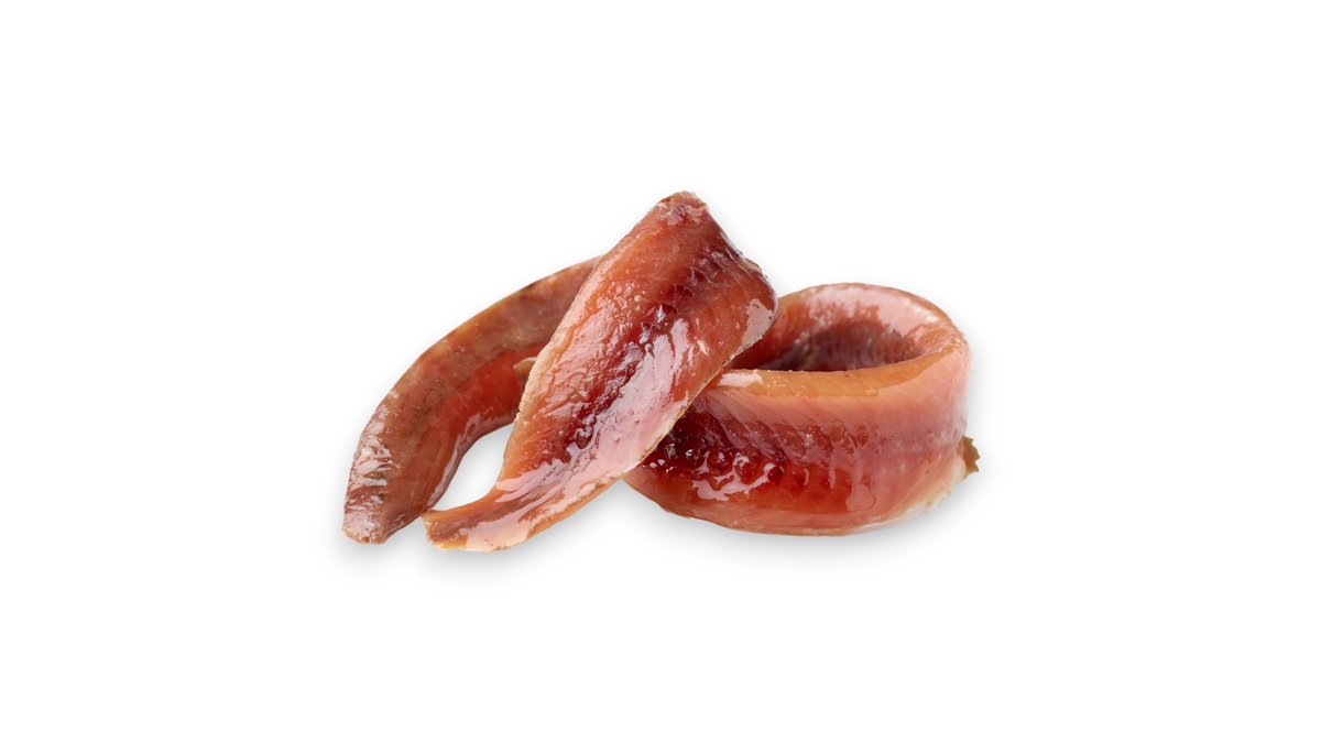 Acchiughe del cantabrico
