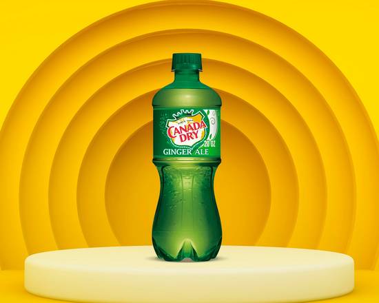 Ginger Ale (bottle)