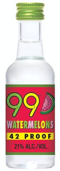 99 Brand Fruit Liqueur, Watermelon (50 ml)