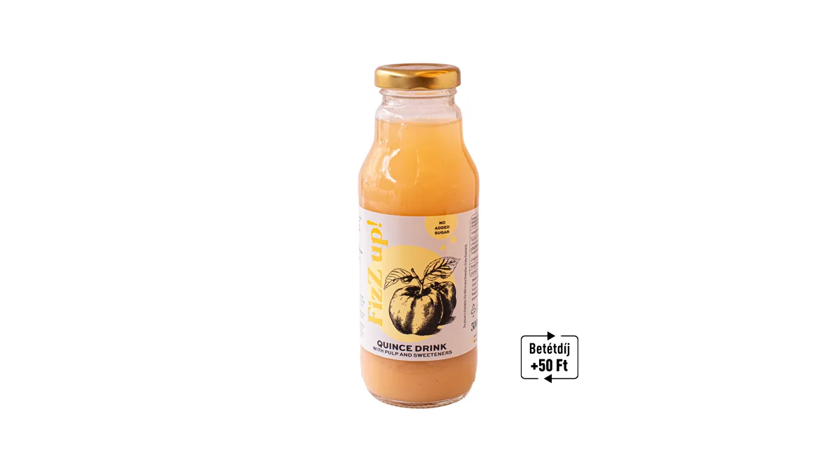 FizZ up! Rostos Birs ital édesítőszerekkel 300 ml