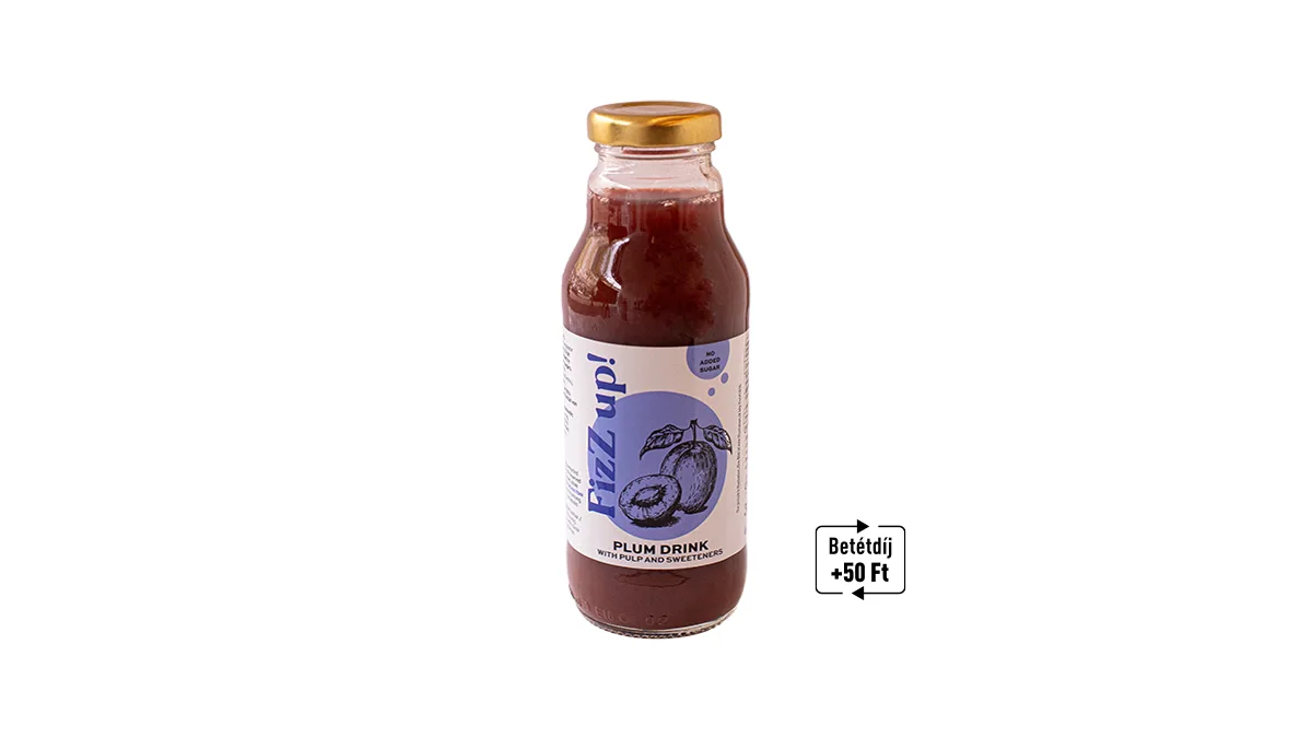 FizZ up! Rostos Szilva ital édesítőszerekkel 300 ml