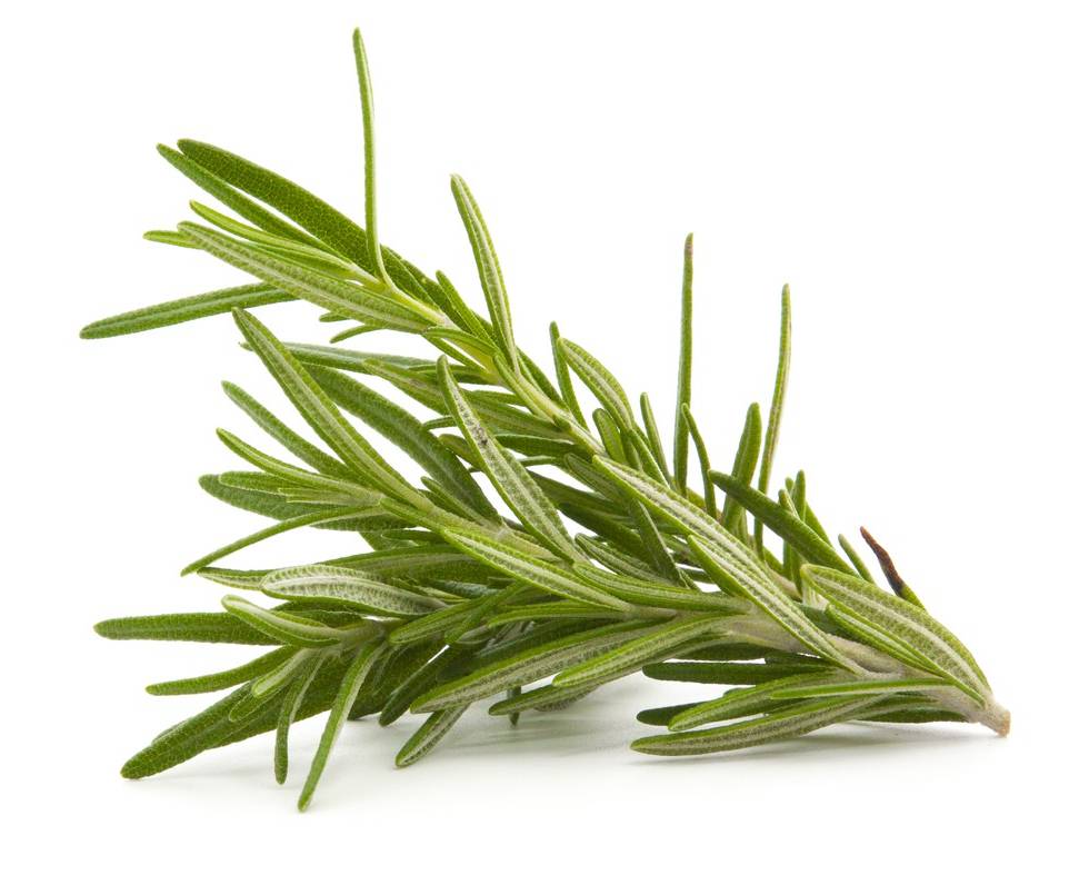 Rosemary