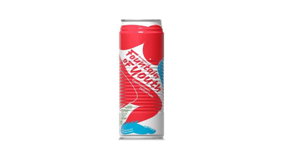 Michelberger's Fountain of Youth Dose 0,52l