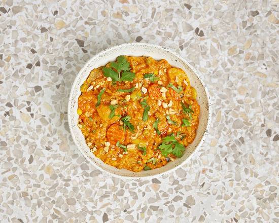 Vegetable Korma