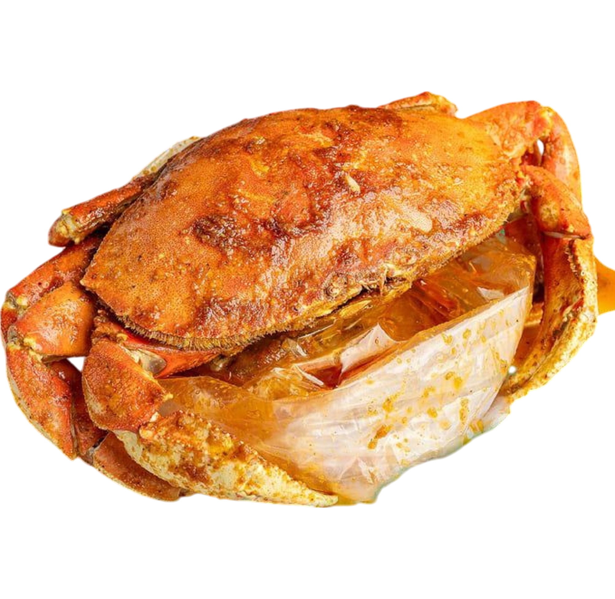 Dungeness Crab