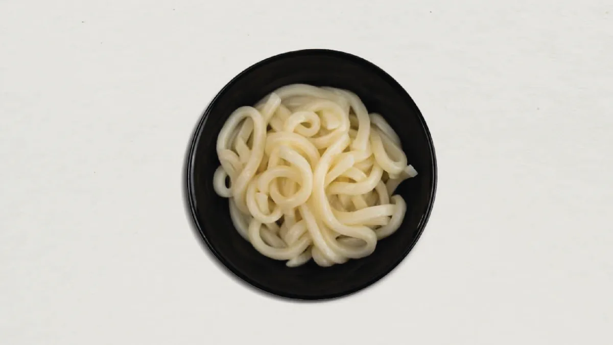 308. Extra Udon Noodles