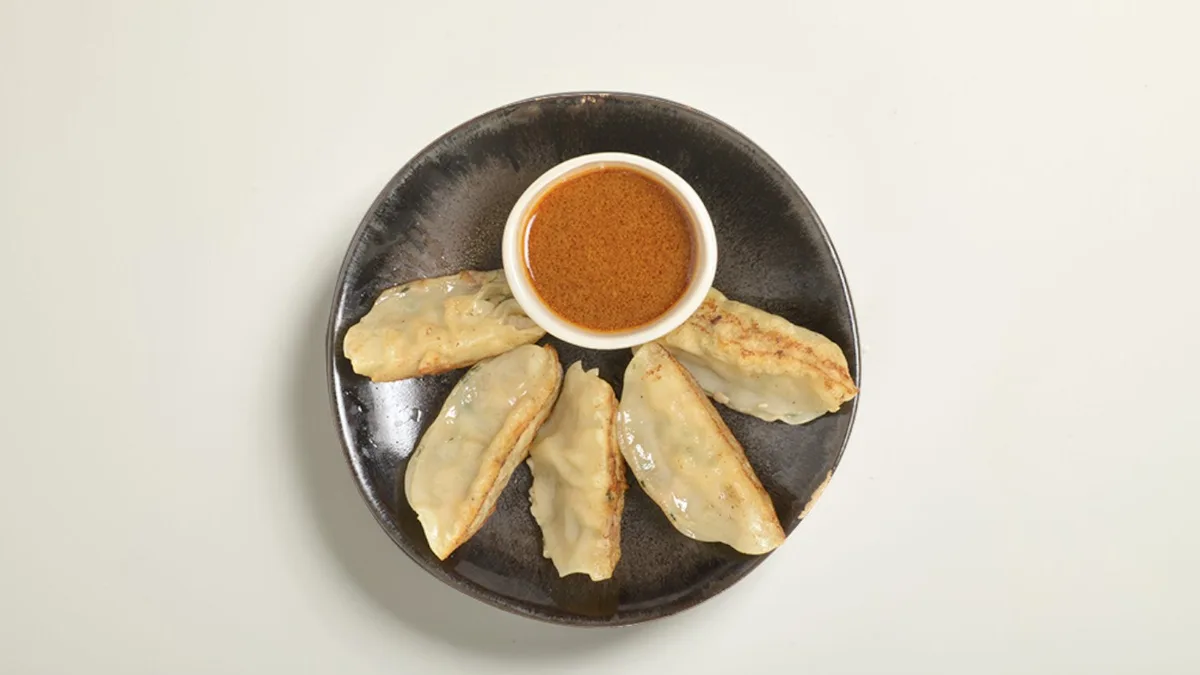 100 Dampede gyoza chicken