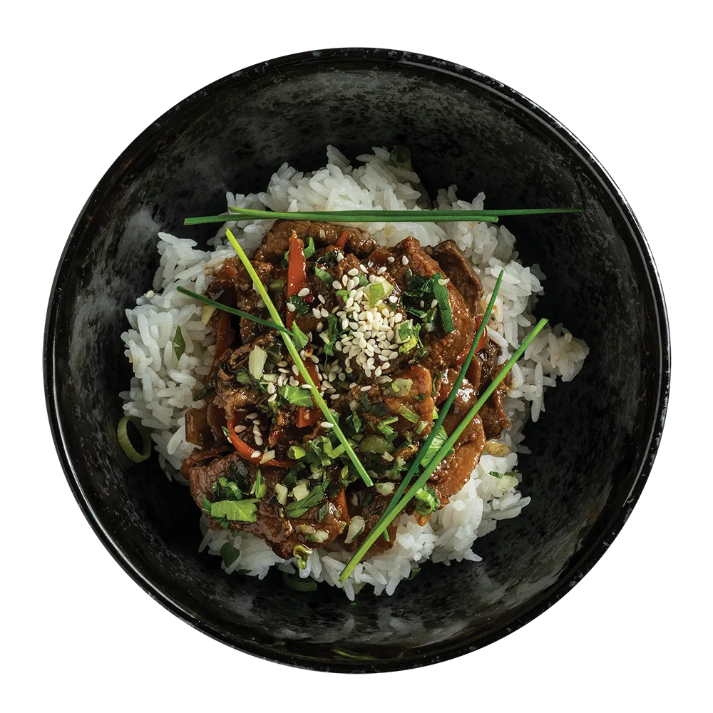Bulgogi