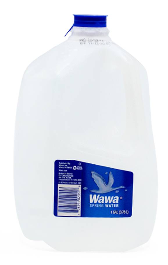 Wawa Spring Water (128 fl oz)