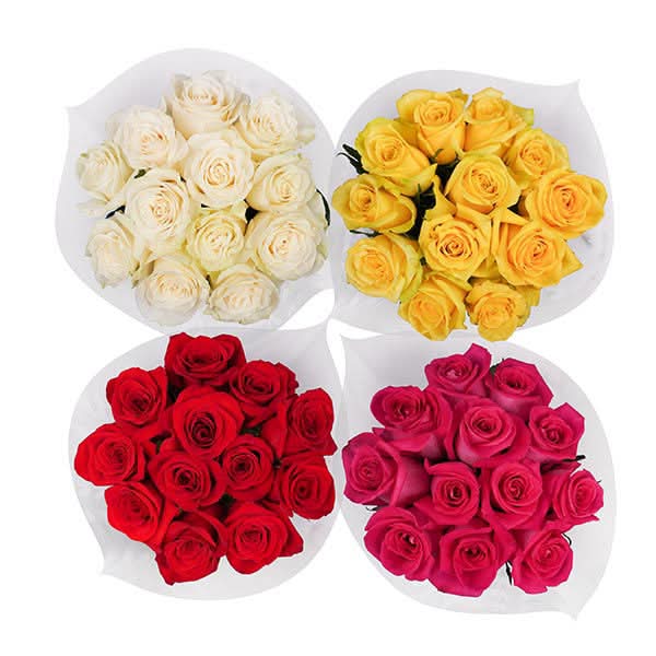 Dozen Roses (12 Stem)