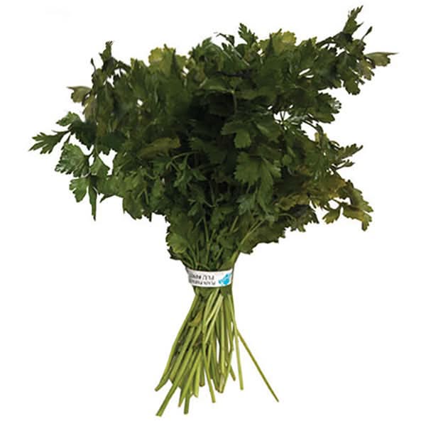 Italian Parsley