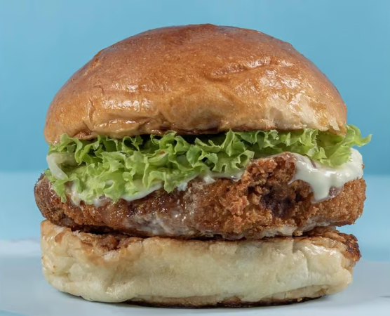 Hot and Spicy Chicken Burger 🐔