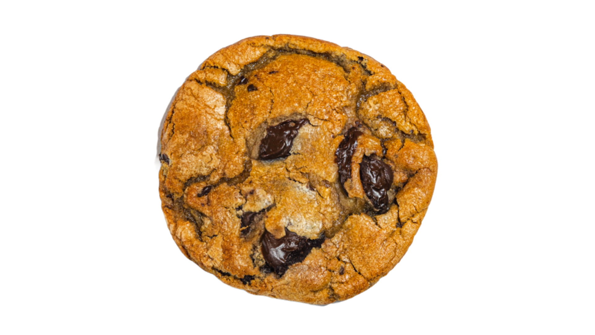 Chocolate Chunk Cookie 5-Pack