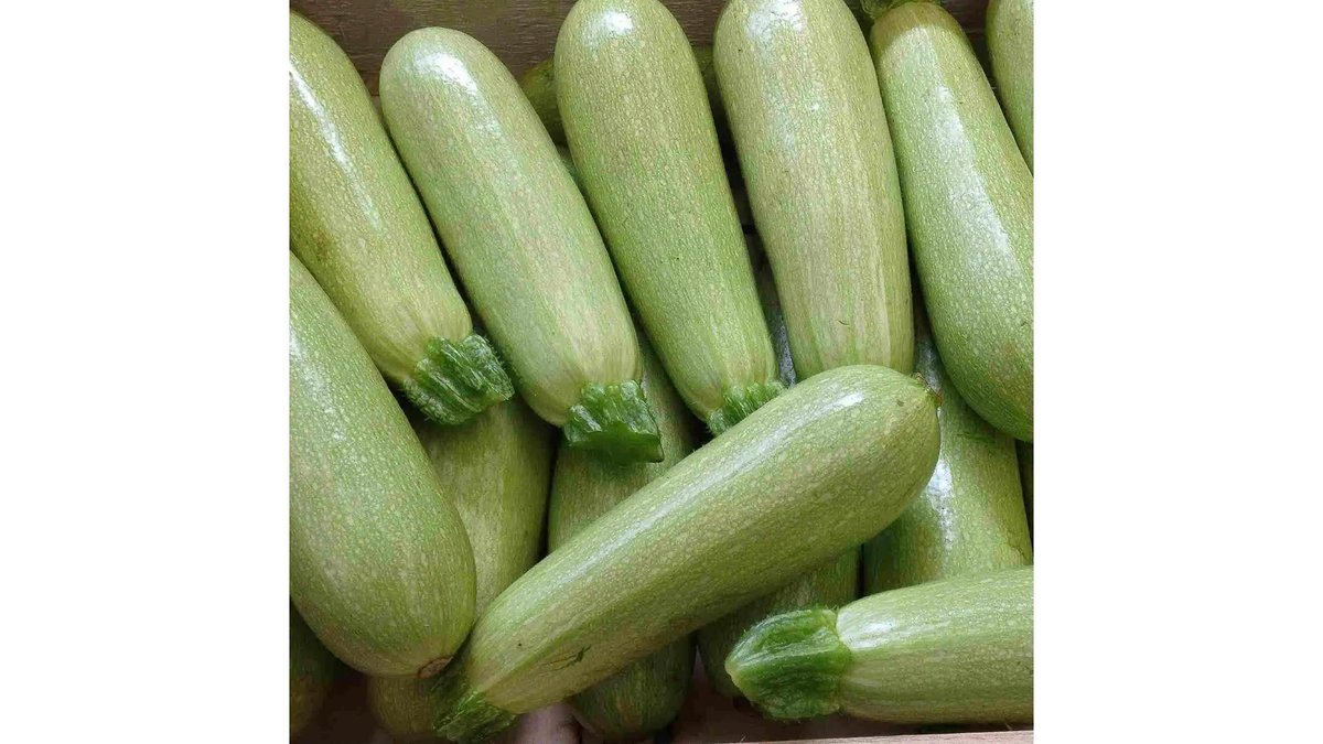 Dovlecel