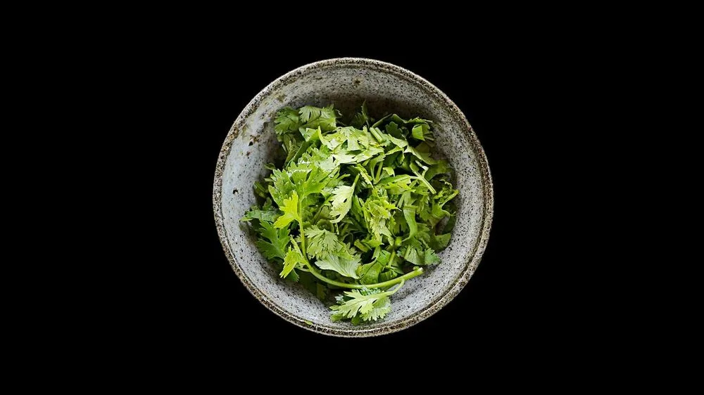 43_Coriander