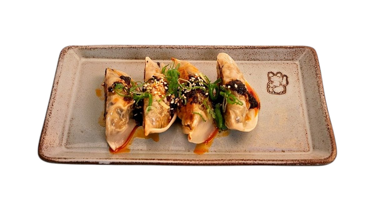 Pan fried veggie dumplings