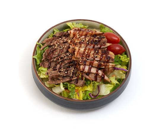 Chicken and Beef Teriyaki Salad