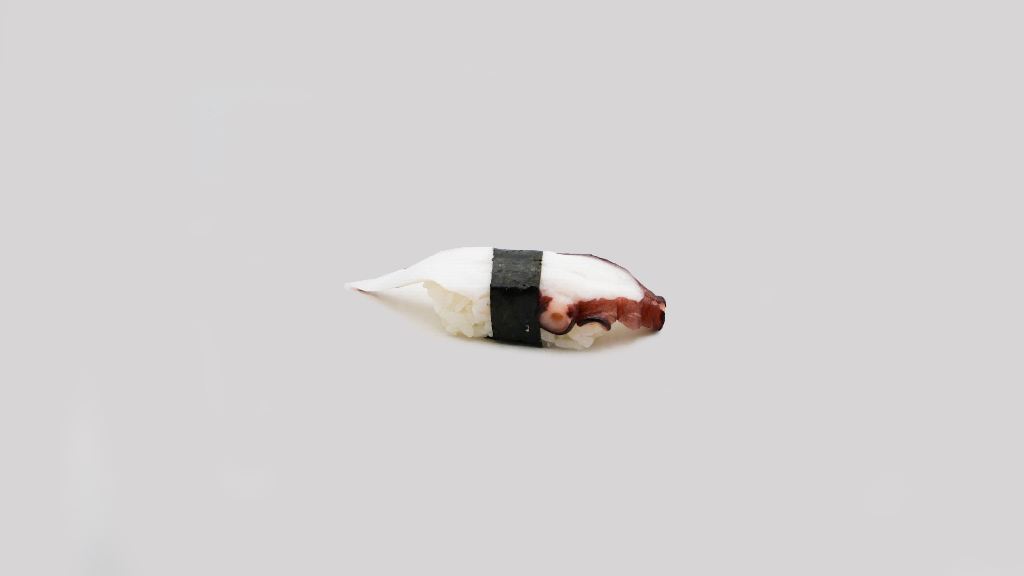 Tako (Octopus)