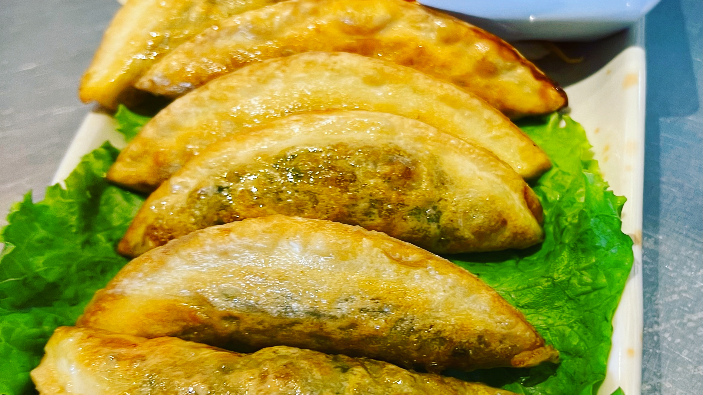 009. Vegetable Pot Stickers (6)