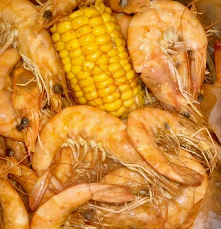 Shrimp