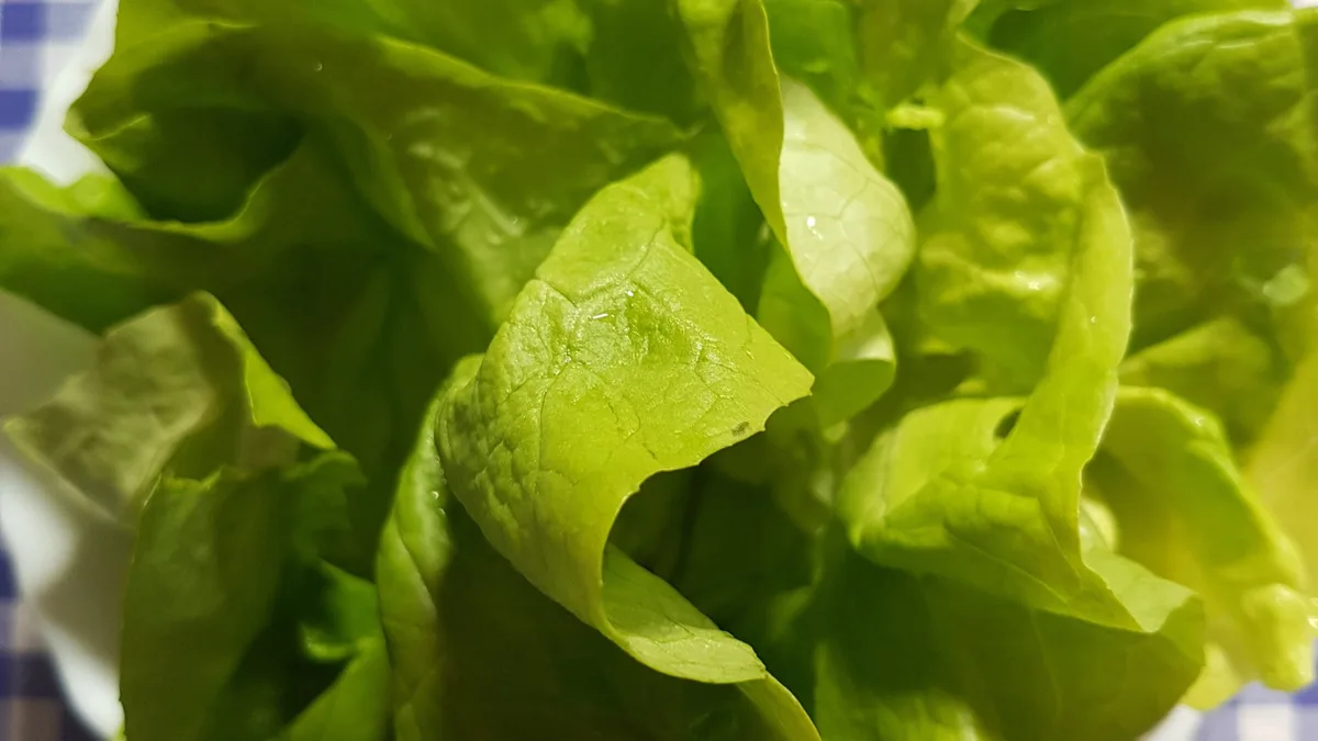 Zelena salata 300gr