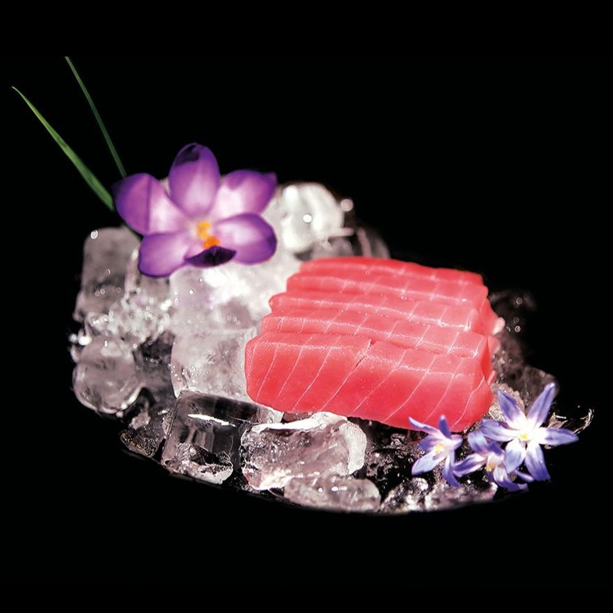 5 pc - Sashimi Japas